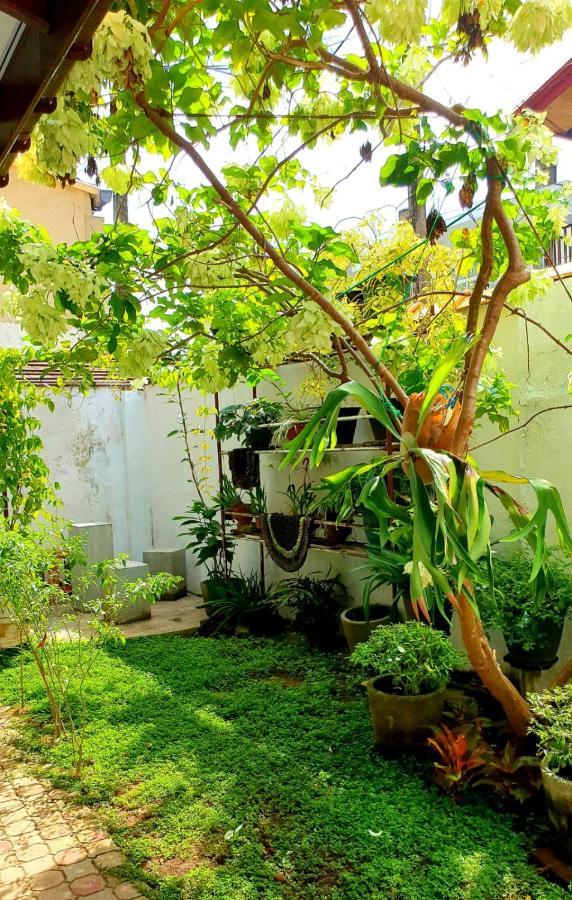 Guesthouse Kind And Love Hikkaduwa Buitenkant foto